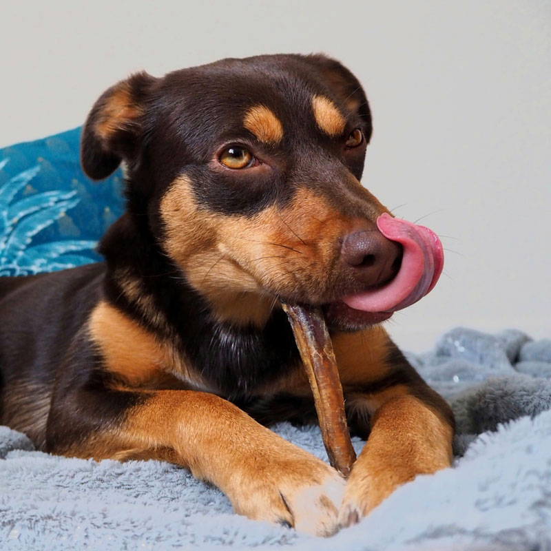 HAPPET Friandise Pour Chien Bretzel De Canard – 1 Pièce