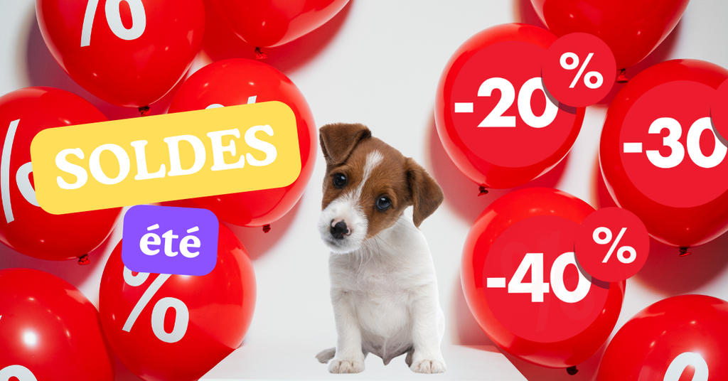 Soldes d'été 2024 !