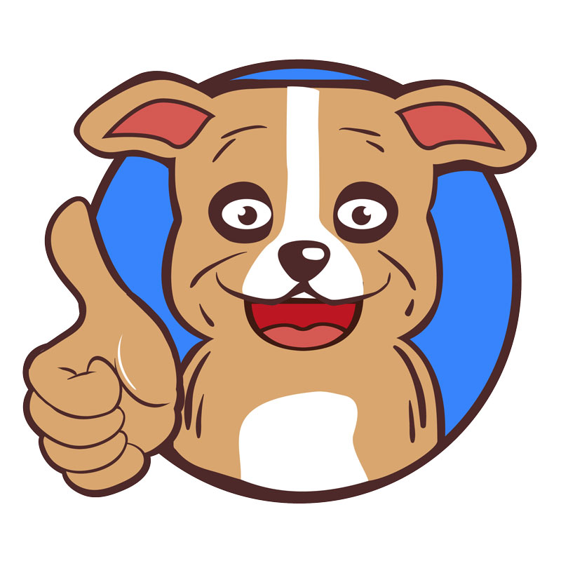 meilleurs accessoires canins