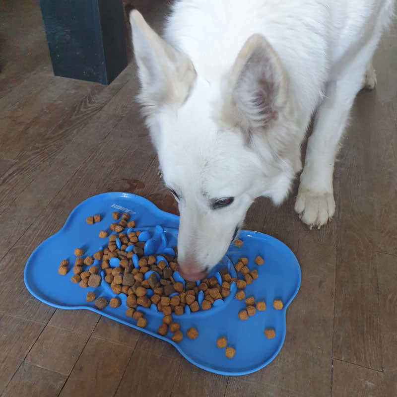 Gamelles pour chiens