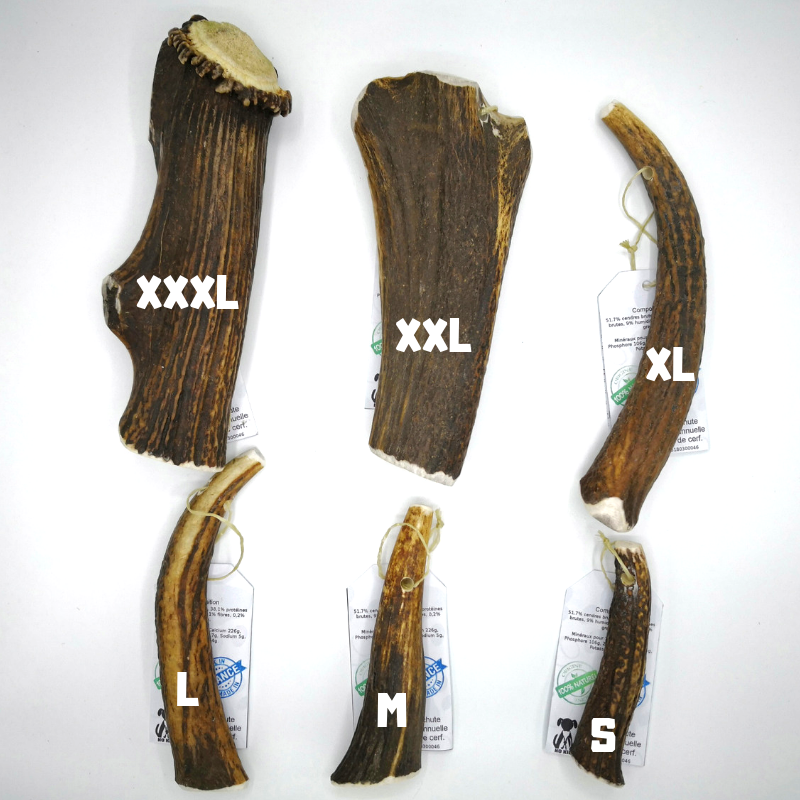 Bois de Cerf pour Chien Friandise Naturelle