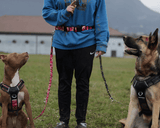 Ceinture de jogging double attache pour chien