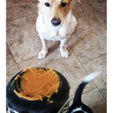 jouet d'occupation pour chiens sodapup